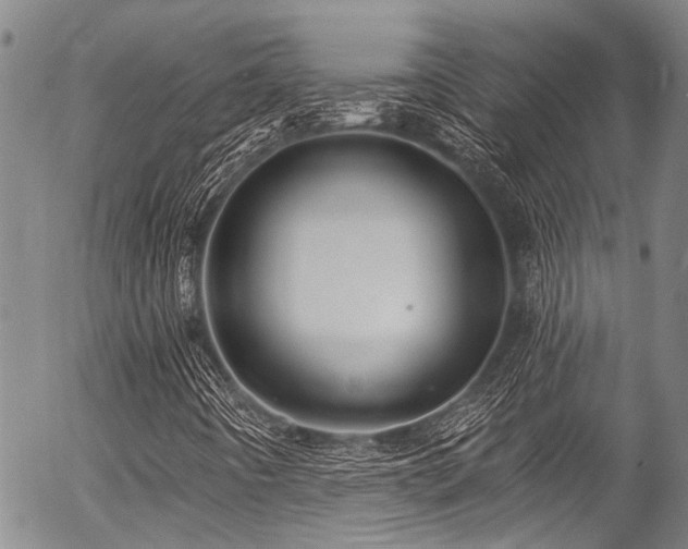 X0000057091442200509120907