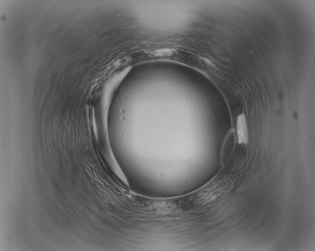 X0000057091443200509120907