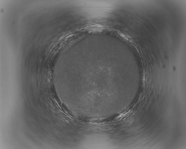 X0000057091445200509120907