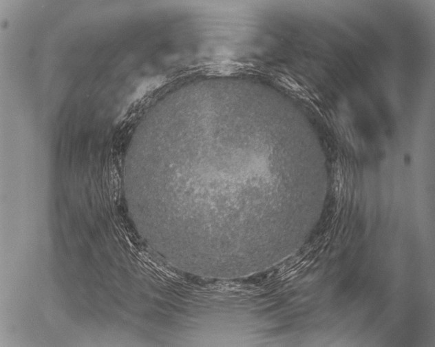 X0000057091446200509120907