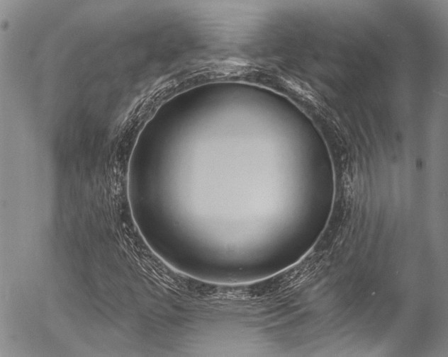 X0000057091447200509120907