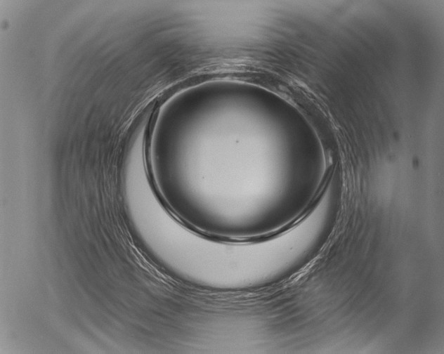 X0000057091449200509120907