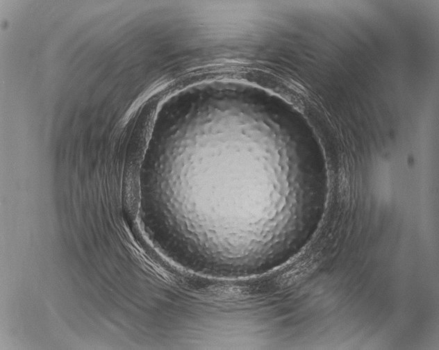 X0000057091450200509120907