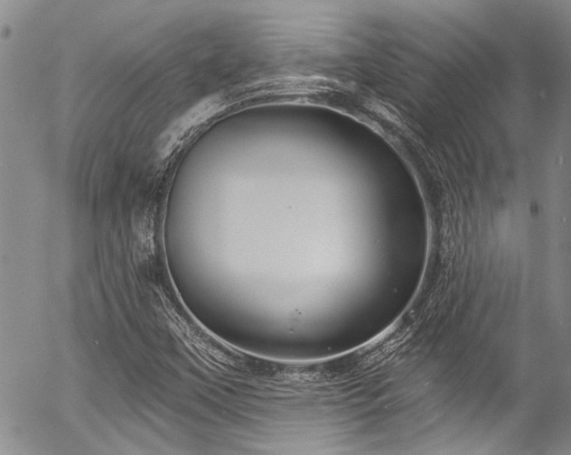 X0000057091451200509120907