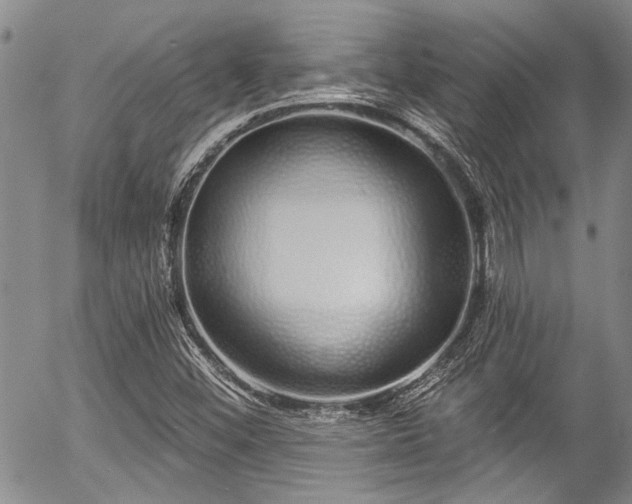 X0000057091452200509120907