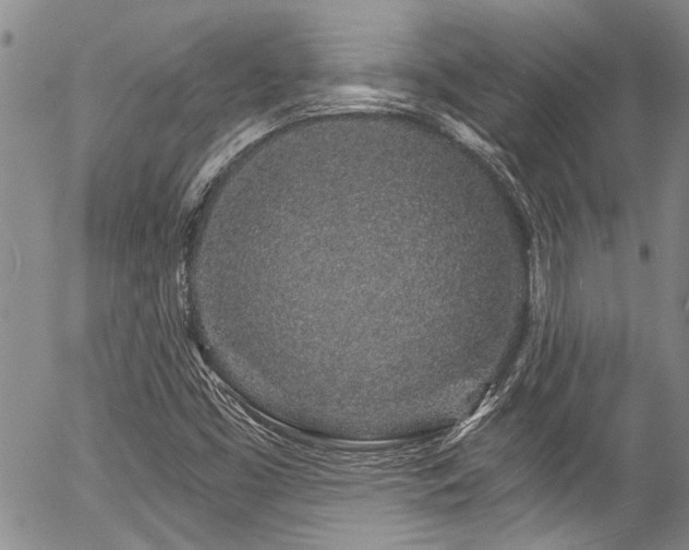 X0000057091453200509120907