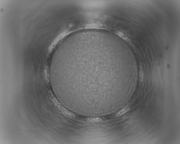 X0000057091454200509120907