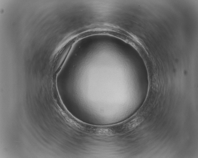 X0000057091456200509120907