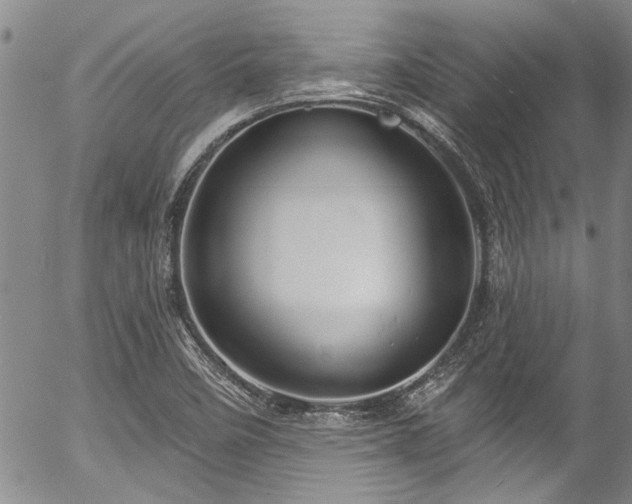 X0000057091458200509120907