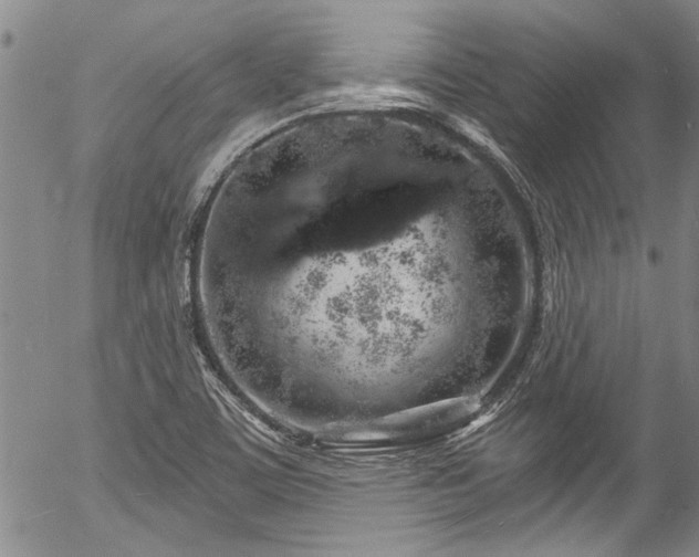 X0000057091459200509120907