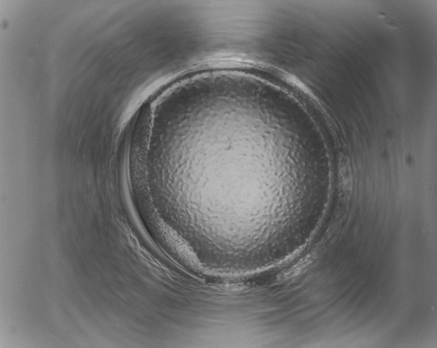 X0000057091461200509120907