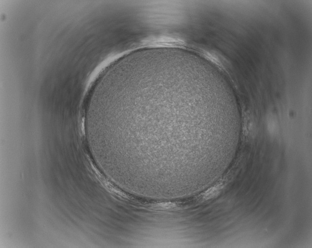 X0000057091462200509120907