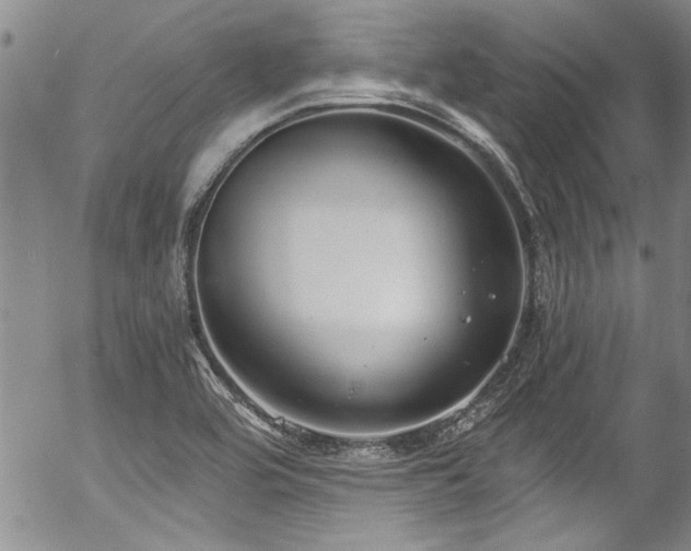 X0000057091464200509120907