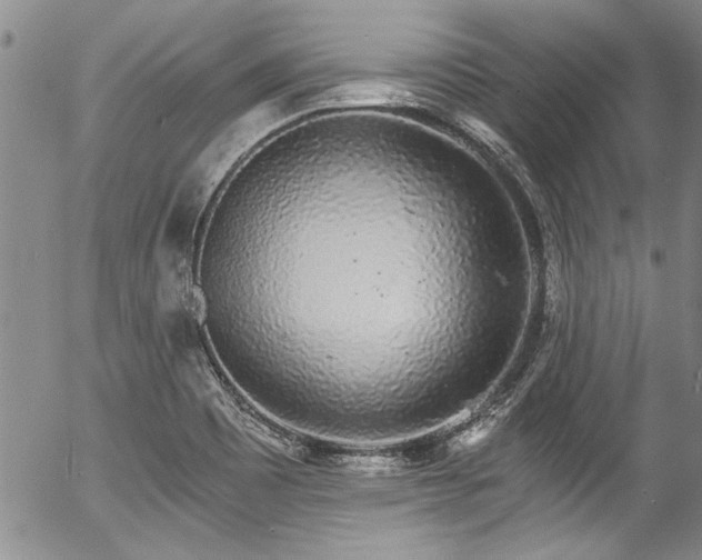 X0000057091465200509120907