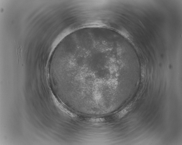 X0000057091466200509120907