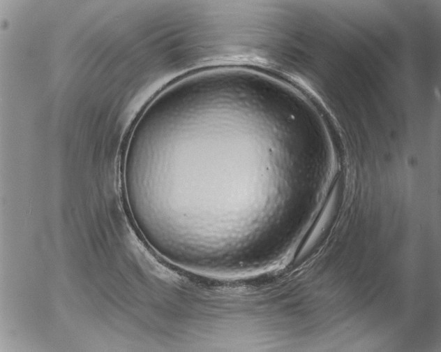 X0000057091468200509120907