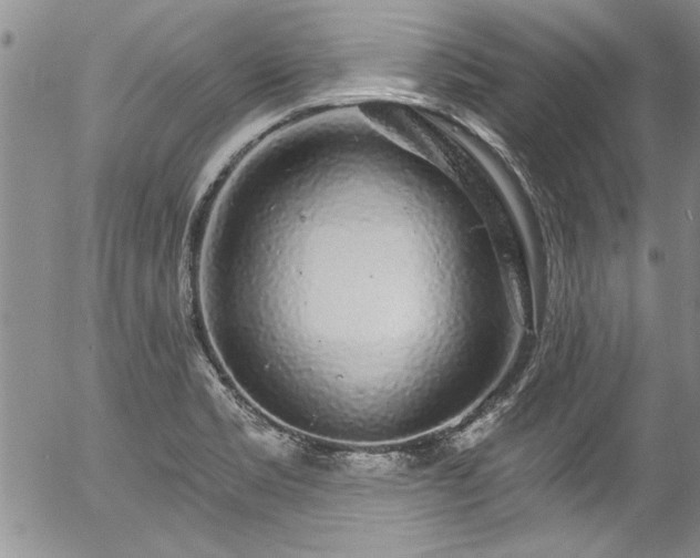 X0000057091469200509120907