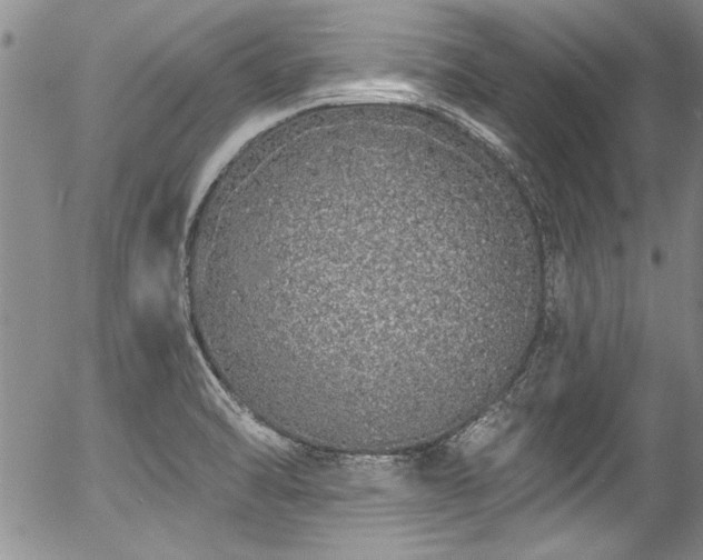 X0000057091470200509120907