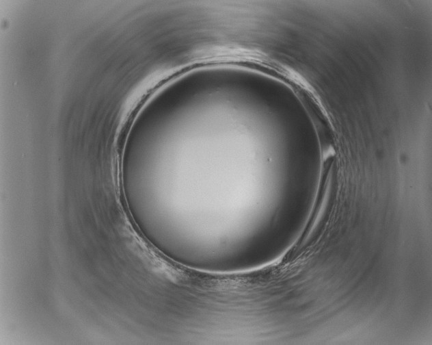 X0000057091472200509120907