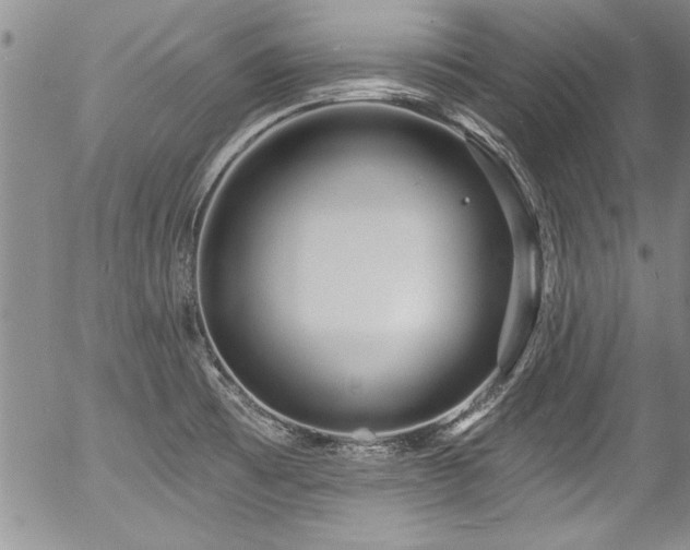 X0000057091473200509120906