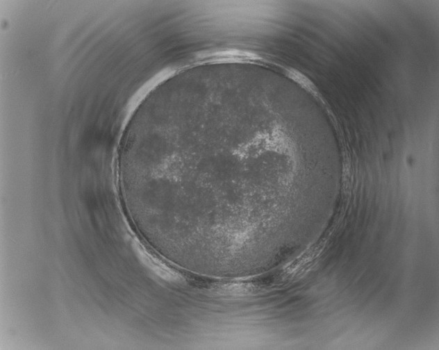 X0000057091474200509120906