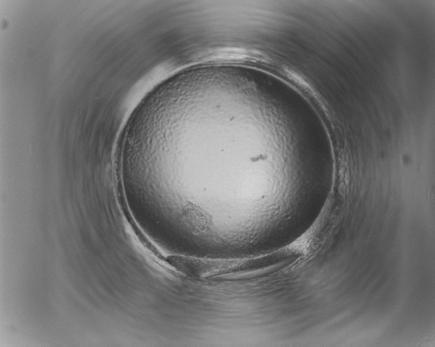 X0000057091475200509120906