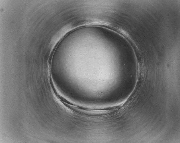 X0000057091476200509120906