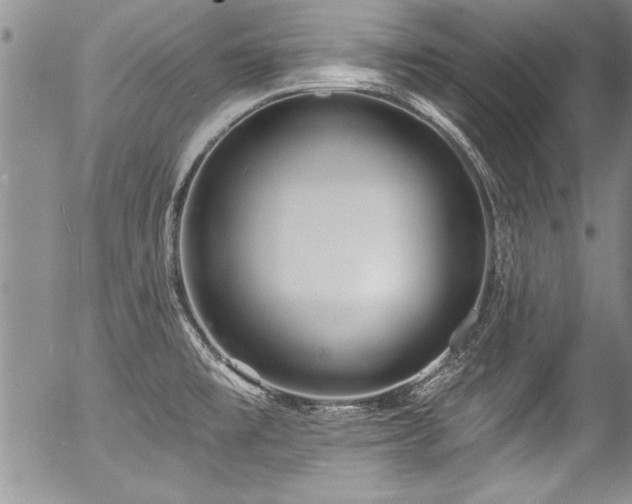 X0000057091477200509120906