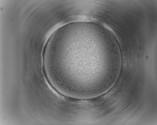 X0000057091479200509120906