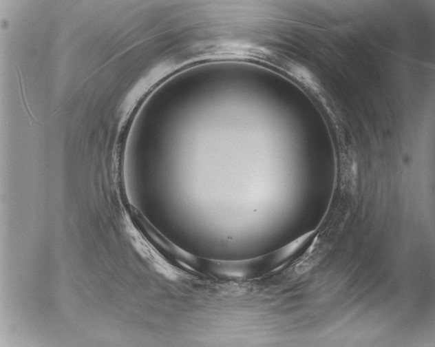 X0000057091480200509120906