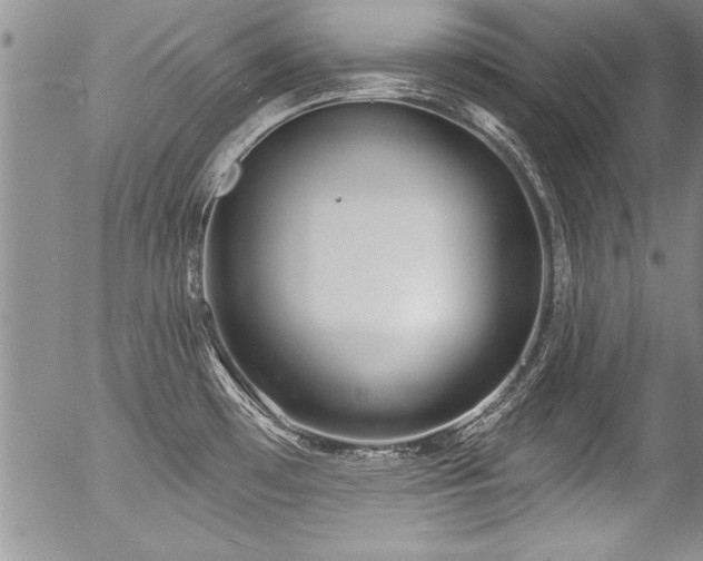 X0000057091481200509120906