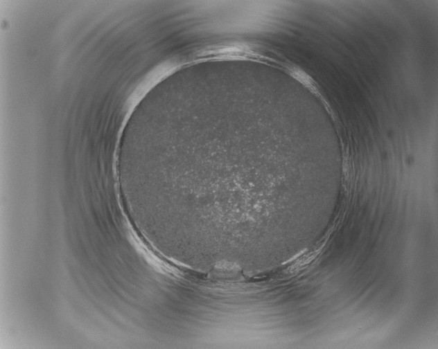 X0000057091482200509120906