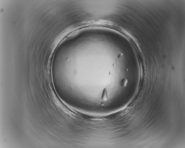 X0000057091483200509120906