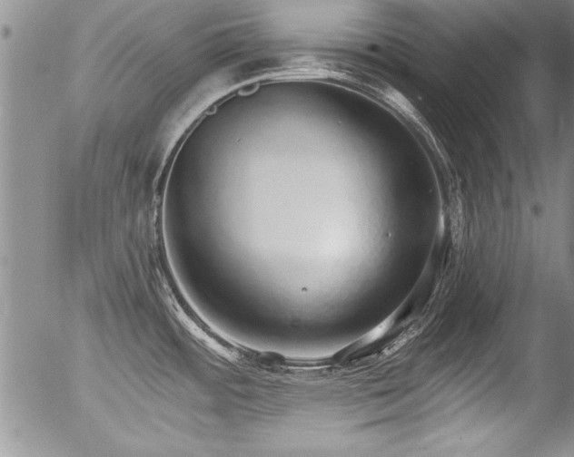 X0000057091484200509120906