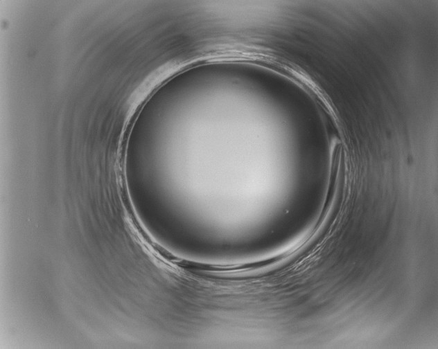 X0000057091485200509120906