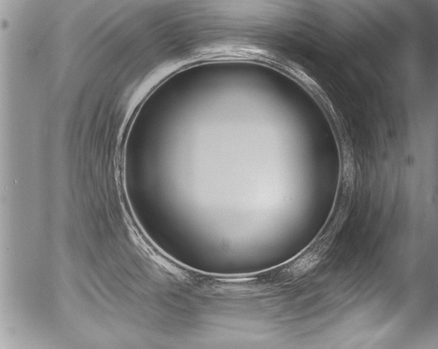 X0000057091486200509120906