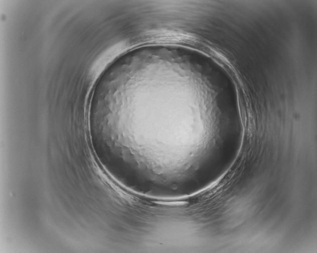 X0000057091487200509120906