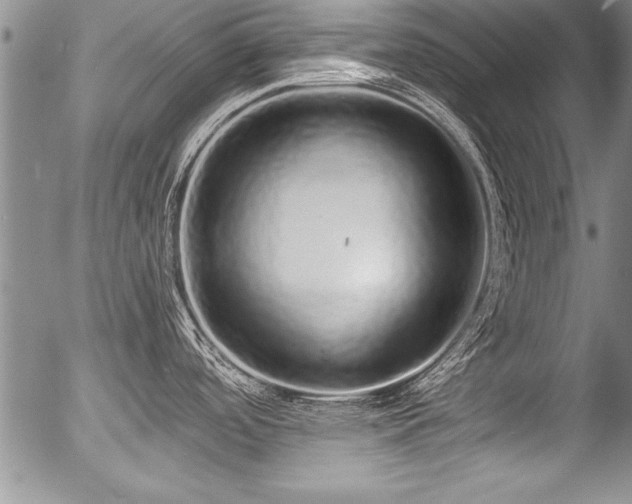 X0000057091488200509120906