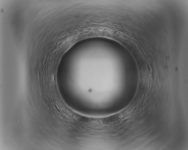 X0000057091489200509120905