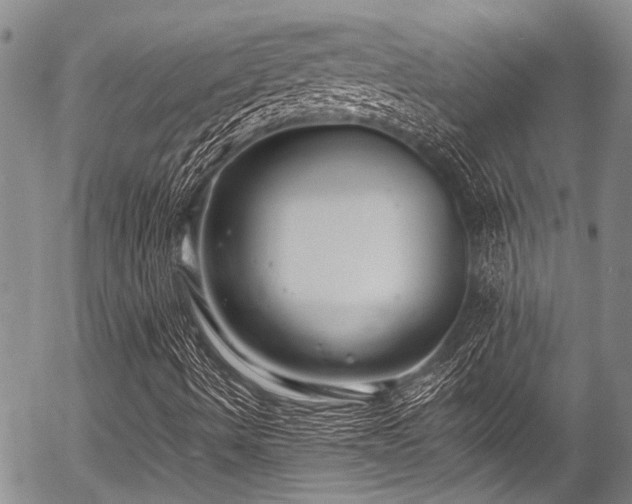 X0000057091490200509120905