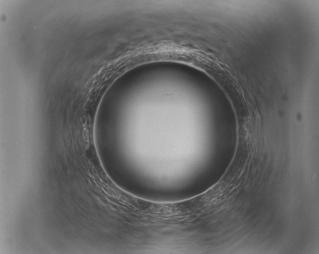 X0000057091493200509120906