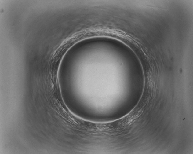 X0000057091494200509120906