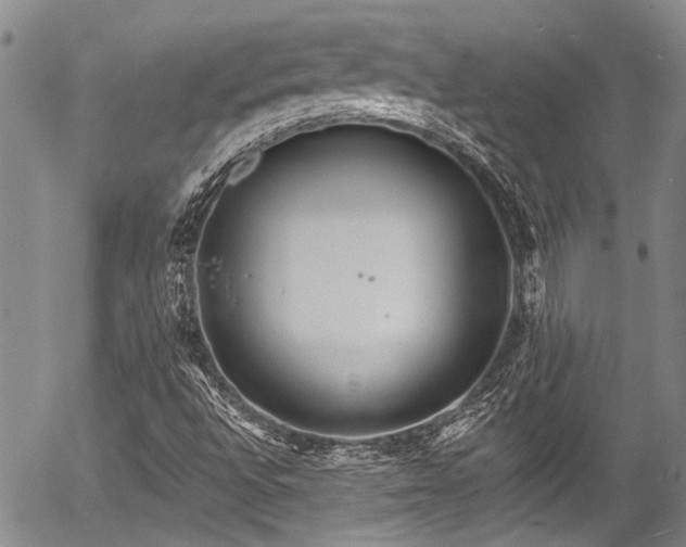 X0000057091496200509120906