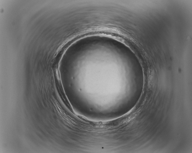 X0000057091497200509120906