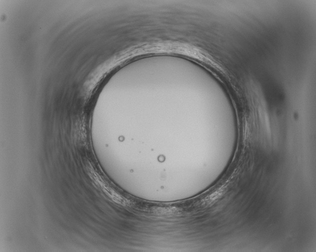 X0000057091498200509120906