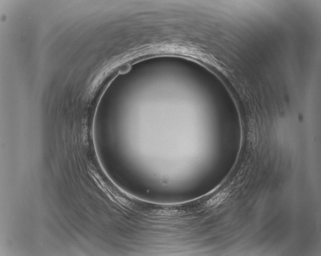 X0000057091499200509120906