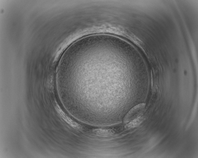 X0000057091500200509120906