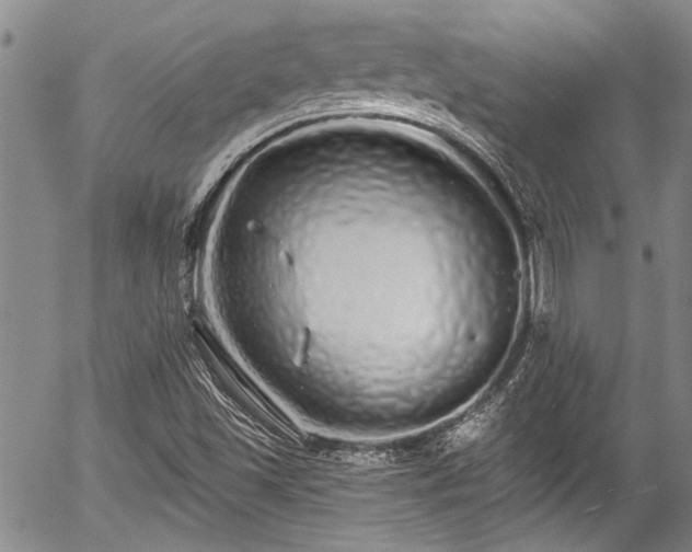 X0000057091501200509120906