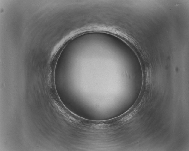 X0000057091502200509120906