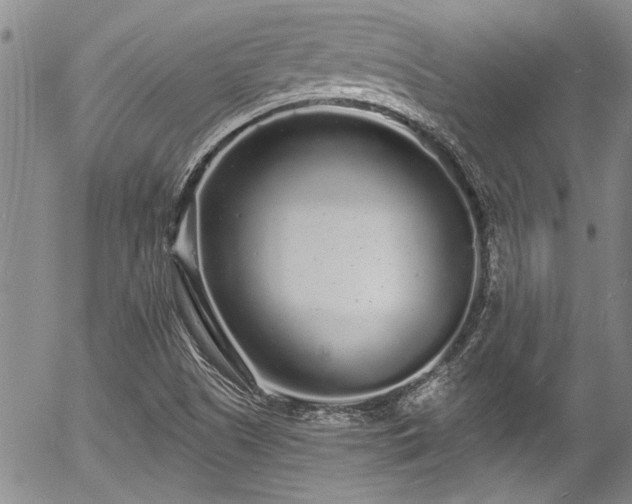 X0000057091505200509120906